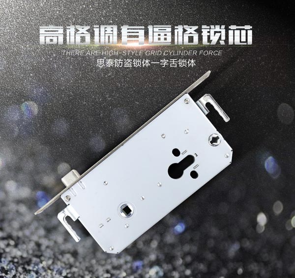 思泰6860一字舌不锈钢锁体