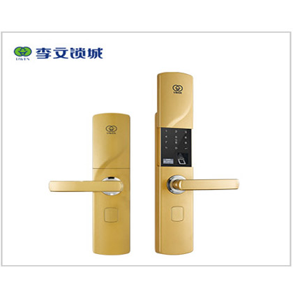 B款香槟金